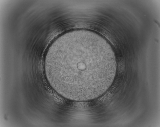 X0000097860832200804041527