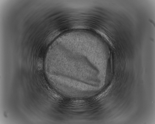 X0000097860833200804041527