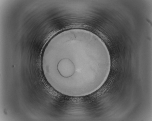 X0000097860836200804041527