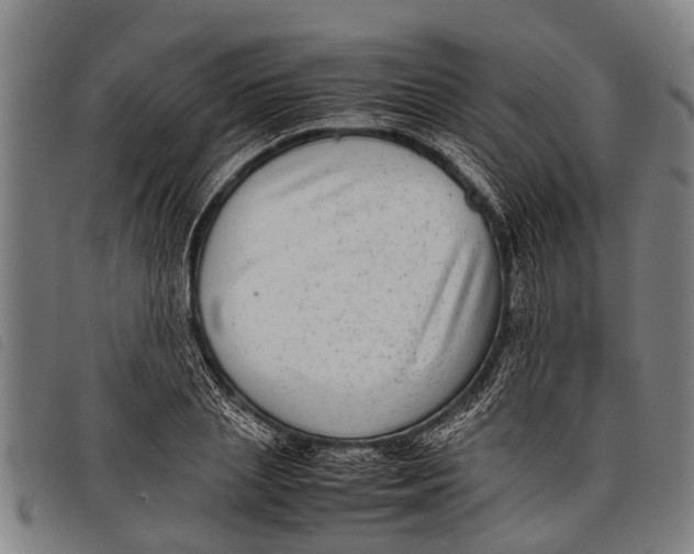 X0000097860837200804041527