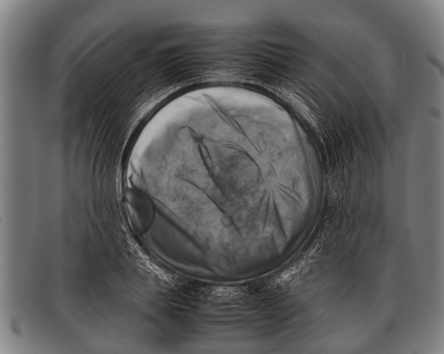 X0000097860839200804041527