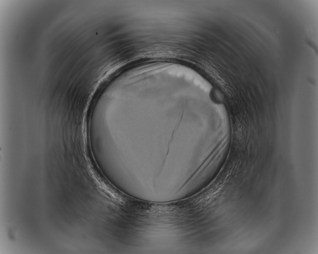 X0000097860840200804041527