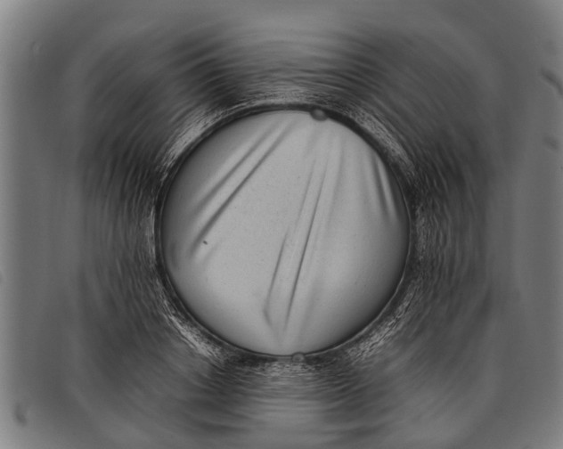 X0000097860842200804041527