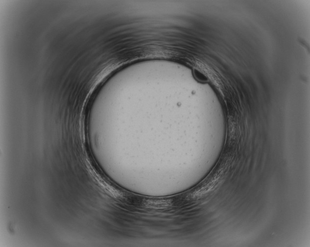 X0000097860843200804041527