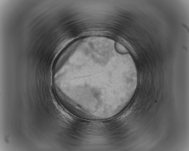 X0000097860844200804041527