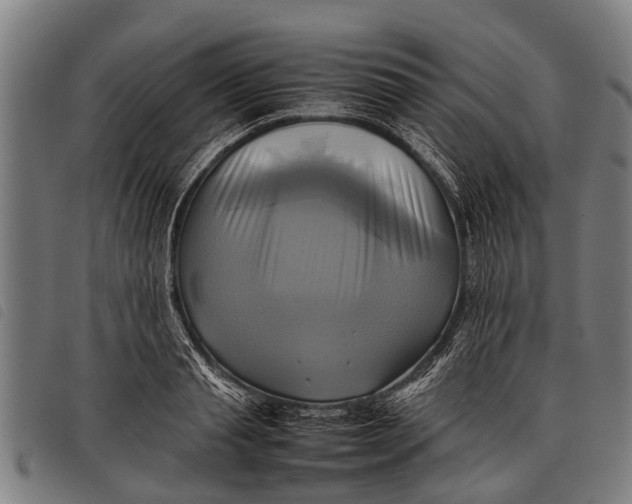 X0000097860845200804041527