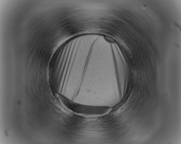 X0000097860846200804041527