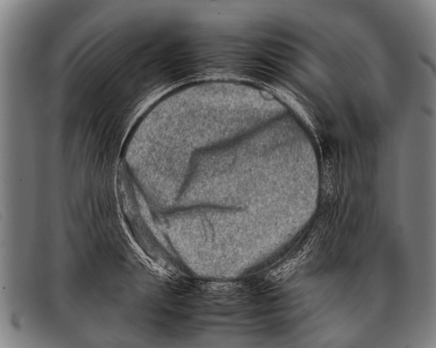 X0000097860847200804041527