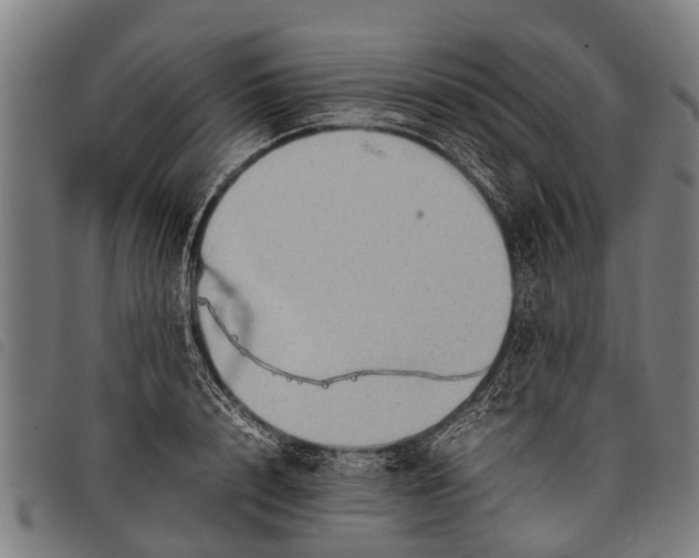 X0000097860848200804041527