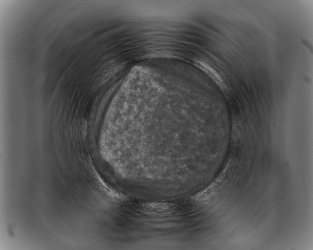 X0000097860849200804041527