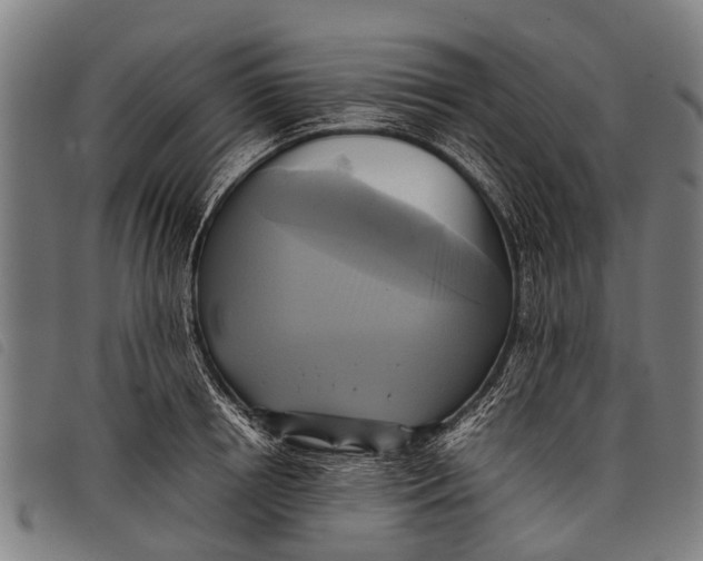 X0000097860850200804041527