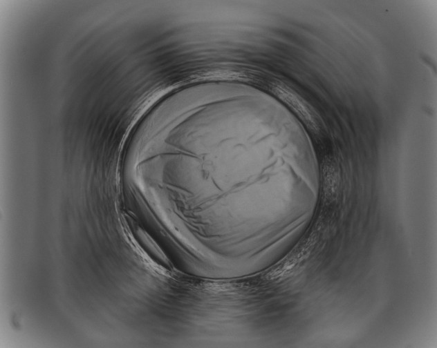 X0000097860852200804041527