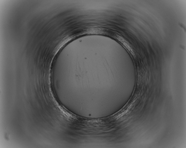 X0000097860853200804041527