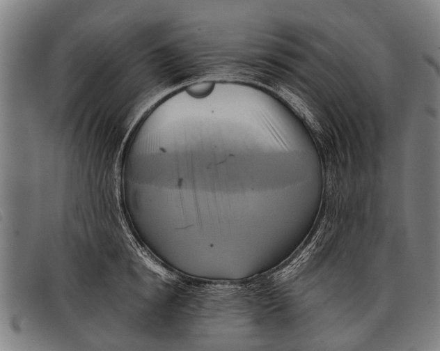 X0000097860854200804041527