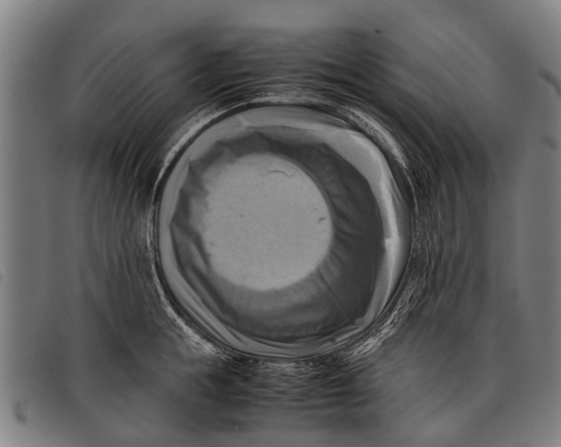 X0000097860855200804041527