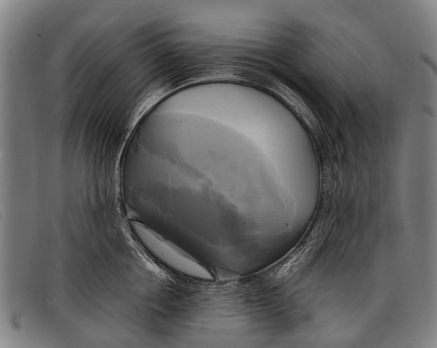 X0000097860858200804041527