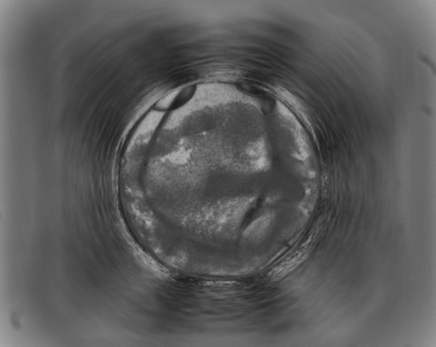 X0000097860859200804041527