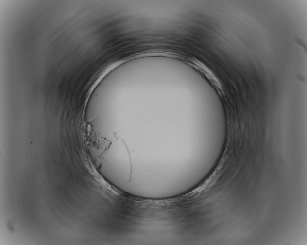 X0000097860860200804041527