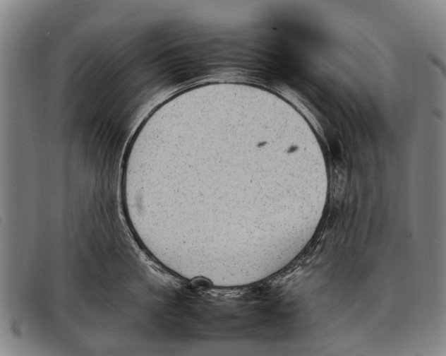 X0000097860861200804041527