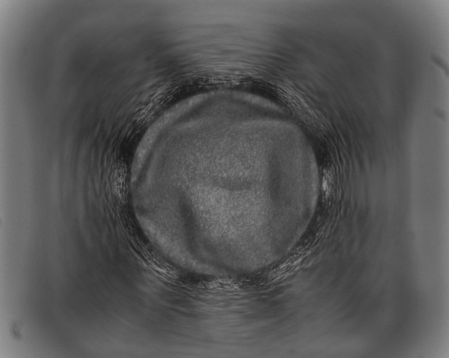 X0000097860867200804041526