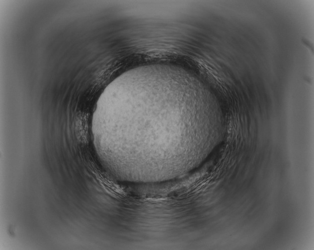 X0000097860868200804041526