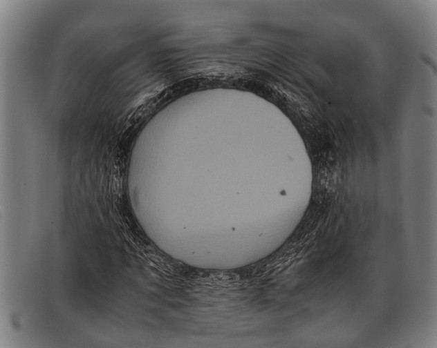 X0000097860869200804041526