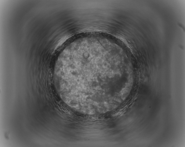 X0000097860871200804041526