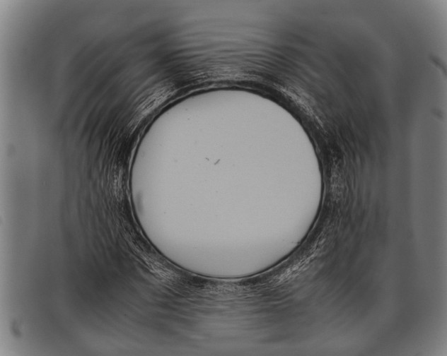 X0000097860873200804041526