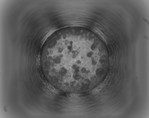 X0000097860875200804041526