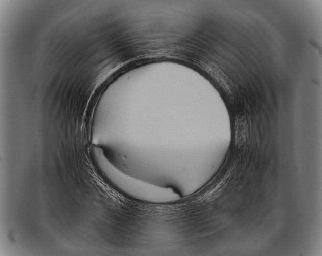 X0000097860876200804041526