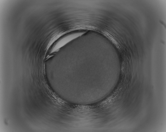 X0000097860877200804041526