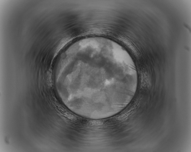 X0000097860878200804041526