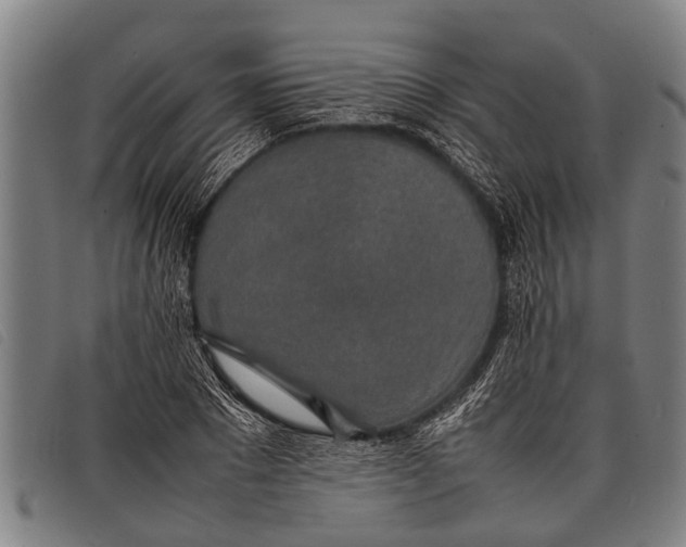 X0000097860881200804041526