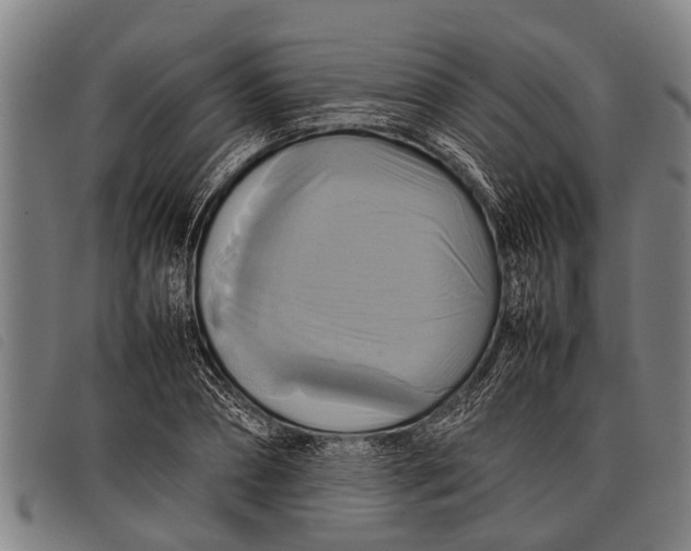 X0000097860882200804041526