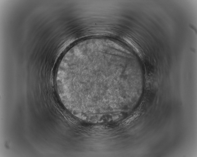 X0000097860883200804041526