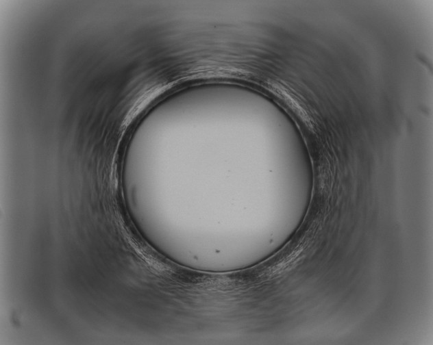 X0000097860885200804041526