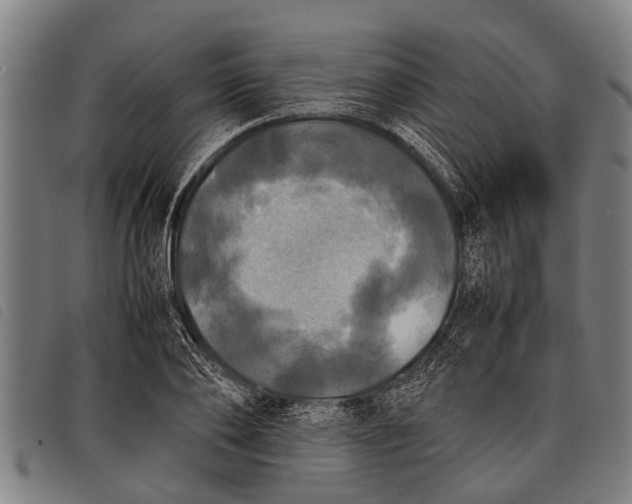 X0000097860886200804041526