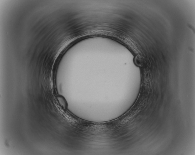 X0000097860888200804041526