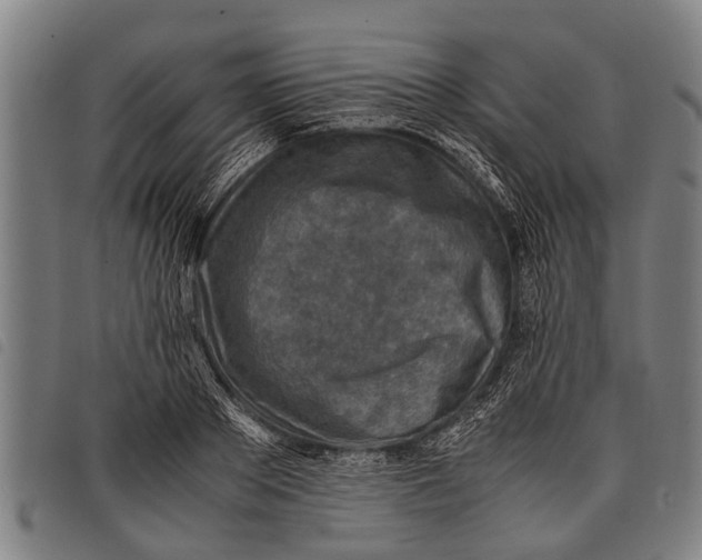 X0000097860889200804041526