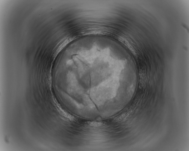 X0000097860890200804041526