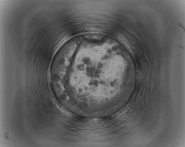 X0000097860891200804041526