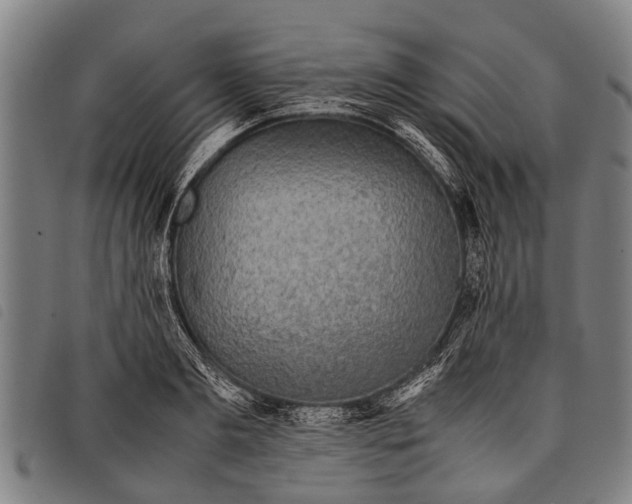 X0000097860893200804041526