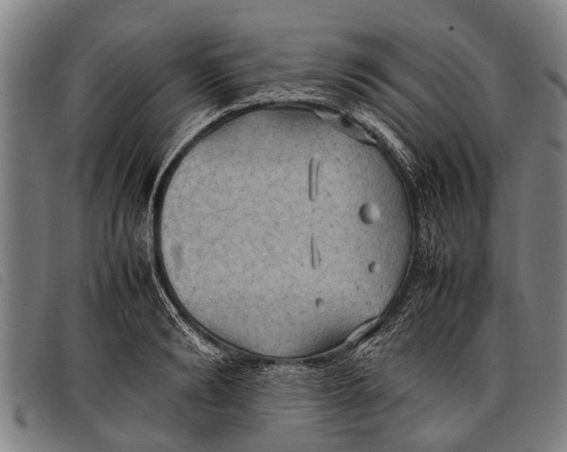 X0000097860894200804041526