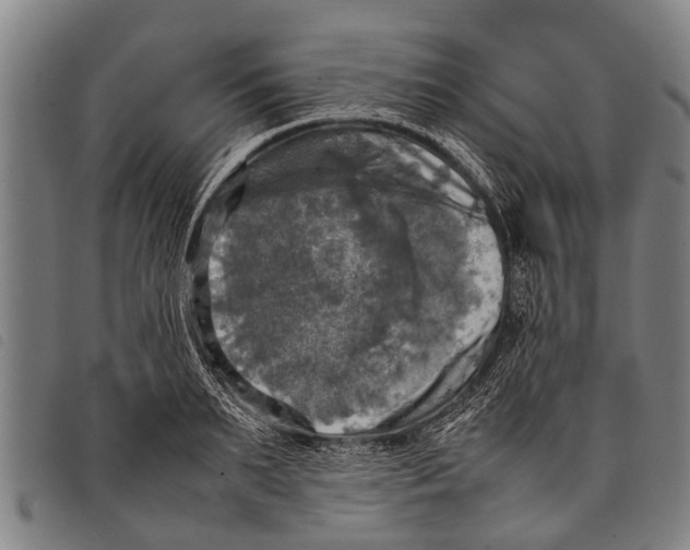 X0000097860895200804041526