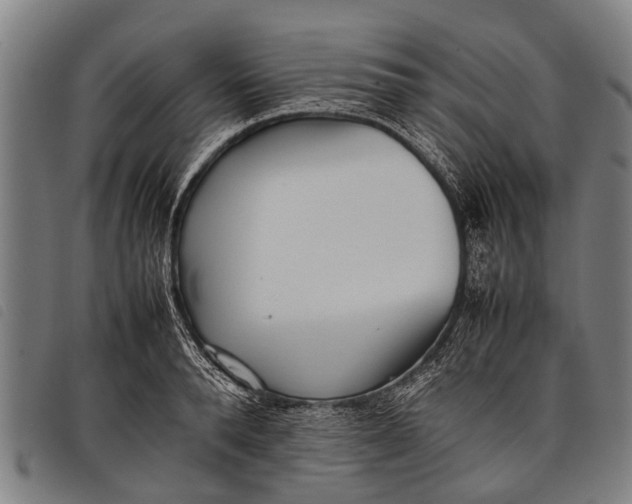 X0000097860896200804041526