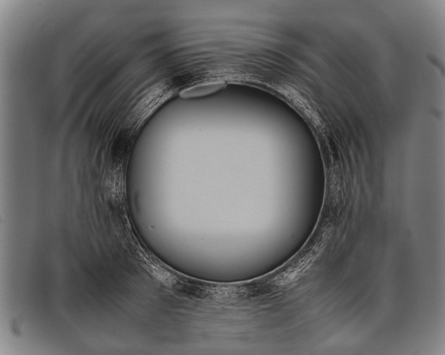 X0000097860897200804041526