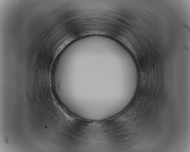 X0000097860898200804041526