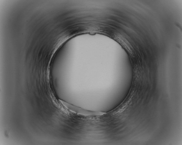 X0000097860900200804041526