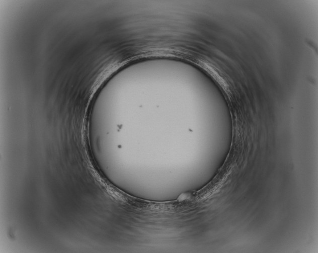 X0000097860901200804041526