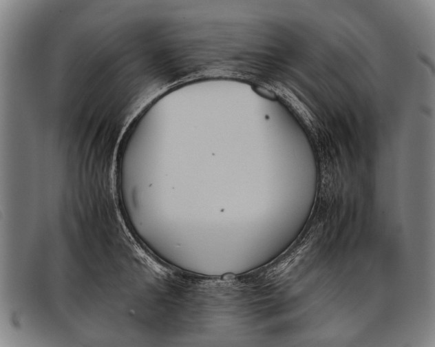 X0000097860902200804041526